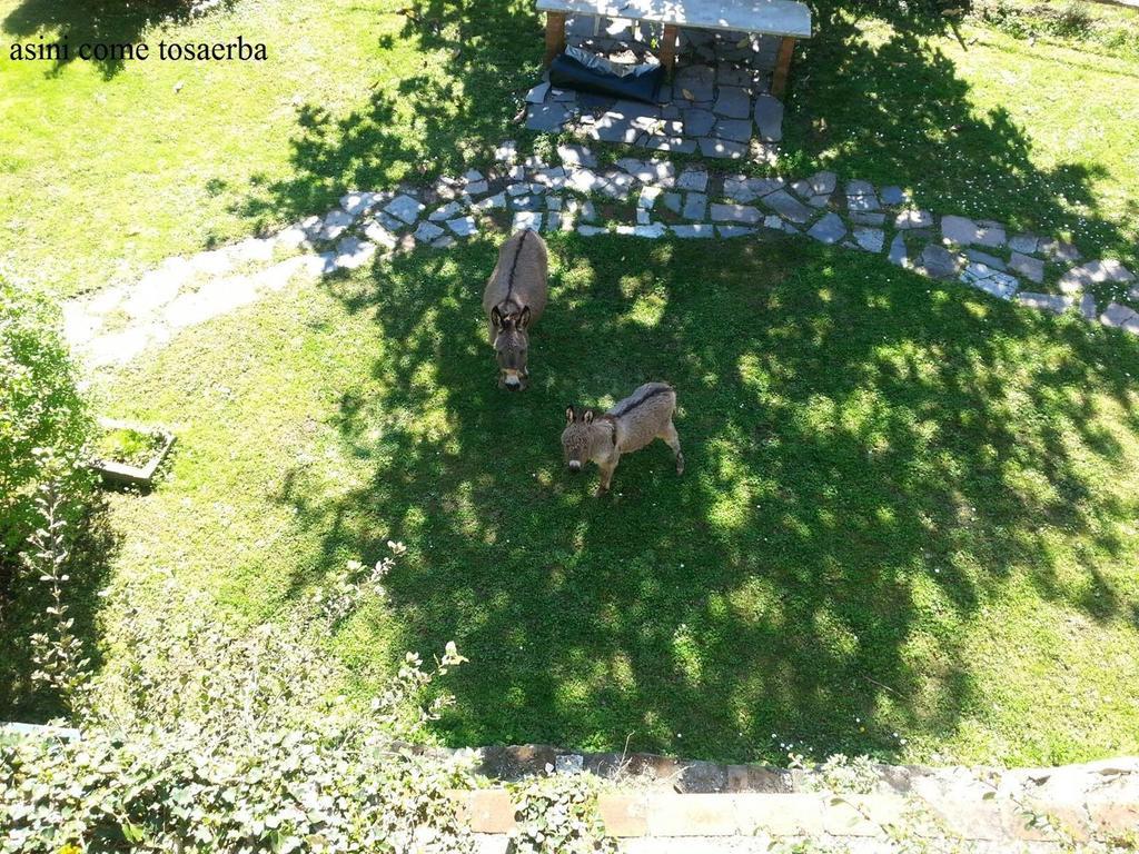 Villa Il Borgo Della Colomba Fosdinovo Exterior foto